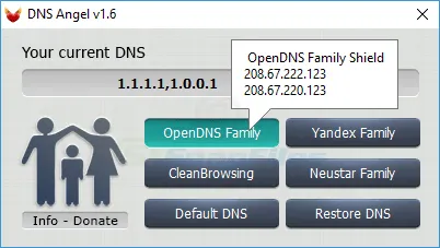 DNS Angel Captura de pantalla 2