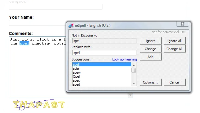 ieSpell Captura de pantalla 2