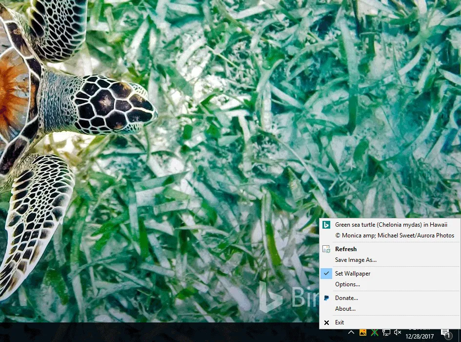 BingSnap Captura de pantalla 1
