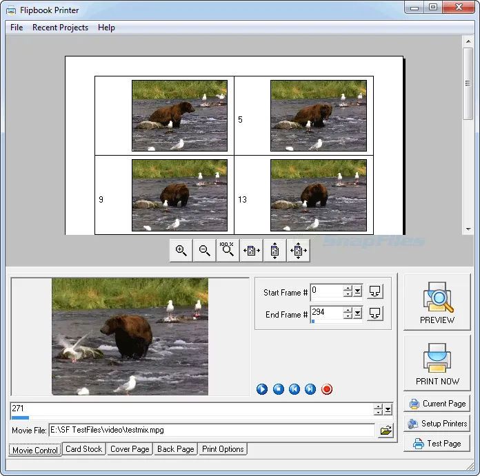 Flipbook Printer Captura de pantalla 1